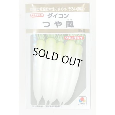 画像1: 送料無料　[大根]　つや風　10ml　タキイ種苗(株)