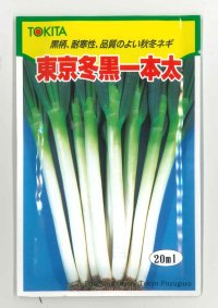 [ねぎ]　東京冬黒一本太　20ml　トキタ種苗（株）