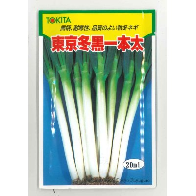 画像1: [ねぎ]　東京冬黒一本太　20ml　トキタ種苗（株）