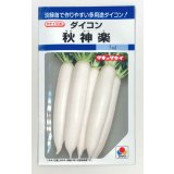 送料無料　[大根]　秋神楽　7ml　タキイ種苗(株)　DF