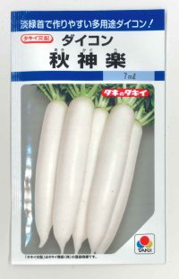 送料無料　[大根]　秋神楽　7ml　タキイ種苗(株)　DF