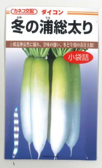 [大根] 冬の浦総太り 5ml カネコ種苗（株）