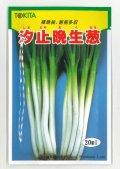 送料無料　[ねぎ]　汐止晩生葱　20ml　トキタ種苗(株)