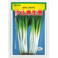 [ねぎ]　汐止晩生葱　20ml　トキタ種苗（株）