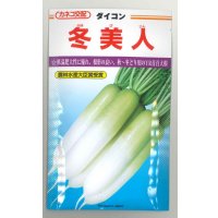 [大根] 冬美人 20ml カネコ種苗（株）