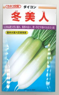 [大根] 冬美人 20ml カネコ種苗（株）