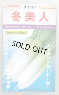 [大根]　冬美人　20ml　 カネコ交配