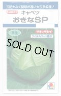 送料無料　[キャベツ]　おきなSP　180粒　タキイ種苗(株)　DF