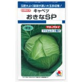 送料無料　[キャベツ]　おきなSP　180粒　タキイ種苗(株)　DF