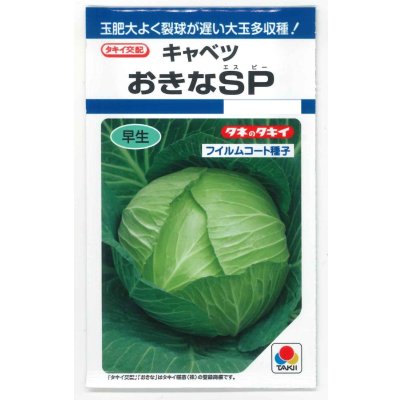 画像1: 送料無料　[キャベツ]　おきなSP　180粒　タキイ種苗(株)　DF