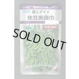 送料無料　[枝豆]　快豆黒頭巾　90ml(およそ150粒)　タキイ種苗(株)　PF