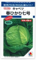 送料無料　[キャベツ]　春ひかり七号　1.8ml(約270粒)　タキイ種苗(株)　DF