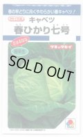 送料無料　[キャベツ]　春ひかり七号　1.8ml(約270粒)　タキイ種苗(株)　DF