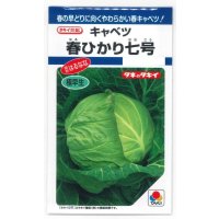 送料無料　[キャベツ]　春ひかり七号　1.8ml(約270粒)　タキイ種苗(株)　DF