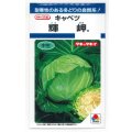 送料無料　[キャベツ]　輝岬　1.1ml(約130粒)　タキイ種苗(株)　DF