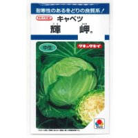 送料無料　[キャベツ]　輝岬　1.1ml(約130粒)　タキイ種苗(株)　DF