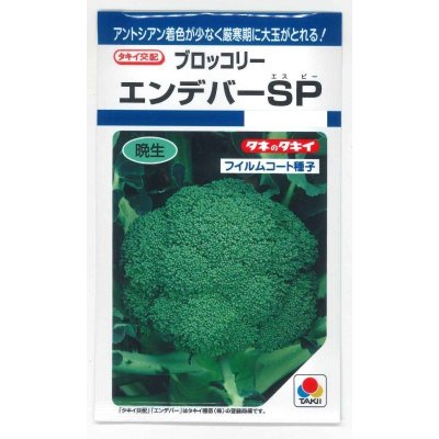 画像1: [ブロッコリー] エンデバーＳＰ 150粒 タキイ種苗(株) DF