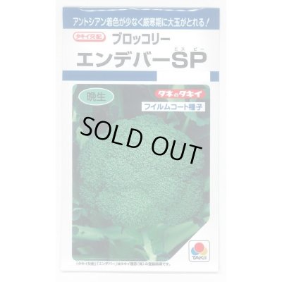 画像1: [ブロッコリー]　エンデバーＳＰ　150粒　タキイ種苗（株）　DF　