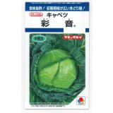 送料無料　[キャベツ]　彩音　1.2ml(約210粒)　タキイ種苗(株)　DF