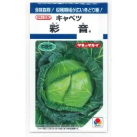 送料無料　[キャベツ]　彩音　1.2ml(約210粒)　タキイ種苗(株)　DF