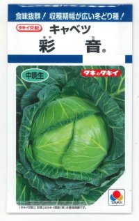 送料無料　[キャベツ]　彩音　1.2ml(約210粒)　タキイ種苗(株)　DF