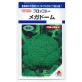 送料無料　[ブロッコリー]　メガドーム　1.1ml　貴種(コートしてません)　タキイ種苗(株)　DF