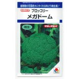 送料無料　[ブロッコリー]　メガドーム　1.1ml　貴種(コートしてません)　タキイ種苗(株)　DF