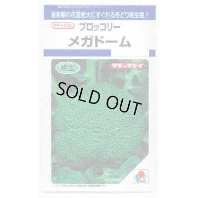 画像1: 送料無料　[ブロッコリー]　メガドーム　1.1ml　貴種(コートしてません)　タキイ種苗(株)　DF