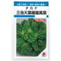 送料無料　[葉物]　三池大葉縮緬高菜　3.5ml　タキイ種苗　MF