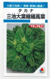 送料無料　[葉物]　三池大葉縮緬高菜　3.5ml　タキイ種苗　MF