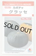 送料無料　[かぼちゃ]　グラッセ　9粒　タキイ種苗　RF