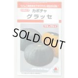 送料無料　[かぼちゃ]　グラッセ　9粒　タキイ種苗　RF