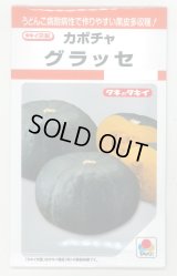 送料無料　[かぼちゃ]　グラッセ　9粒　タキイ種苗　RF