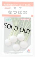 送料無料　[かぶ]　なつばな　2.7ml　タキイ種苗(株)　RF