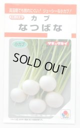 送料無料　[かぶ]　なつばな　2.7ml　タキイ種苗(株)　RF