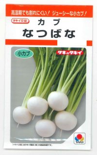 [かぶ]　なつばな　2.7ml　タキイ種苗（株）　RF　