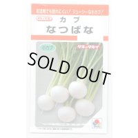 送料無料　[かぶ]　なつばな　2.7ml　タキイ種苗(株)　RF
