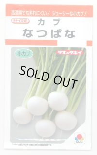 送料無料　[かぶ]　なつばな　2.7ml　タキイ種苗(株)　RF