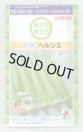 送料無料　[オクラ]　ヘルシエ　90粒　タキイ種苗(株)　PF
