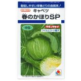 送料無料　[キャベツ]　春のかほりSP　150粒　タキイ種苗(株)　DF