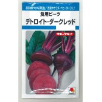 [その他]　食用ビーツ　デトロイト・ダークレッド　9ml　タキイ種苗（株）　MF　