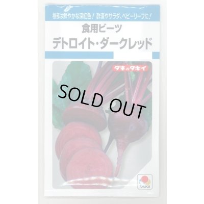 画像1: 送料無料　食用ビーツ　デトロイト・ダークレッド　9ml　タキイ種苗(株)　MF