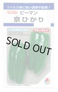 送料無料　[ピーマン]　京ひかり　27粒　タキイ種苗(株)　DF