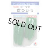 送料無料　[ピーマン]　京ひかり　27粒　タキイ種苗(株)　DF