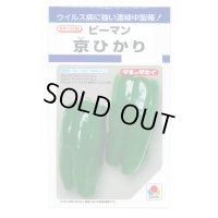 送料無料　[ピーマン]　京ひかり　27粒　タキイ種苗(株)　DF