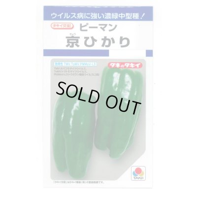 画像1: 送料無料　[ピーマン]　京ひかり　27粒　タキイ種苗(株)　DF