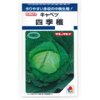 [キャベツ]　四季穫　2ml（約310粒）　タキイ種苗（株）　DF