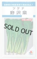 送料無料　[葉物]　野沢菜　4.5ml　タキイ種苗　MF