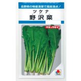 送料無料　[葉物]　野沢菜　4.5ml　タキイ種苗　MF