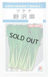 送料無料　[葉物]　野沢菜　4.5ml　タキイ種苗　MF